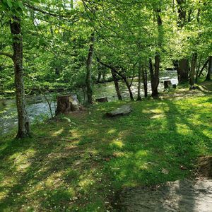 Meet your Posher, Charles